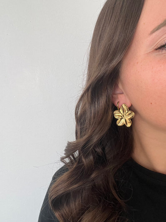 Boucles d’oreilles ROXY